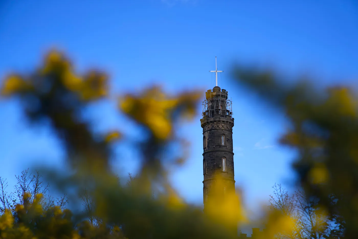 The Nelson Monument peeking out from behind some flowers.
