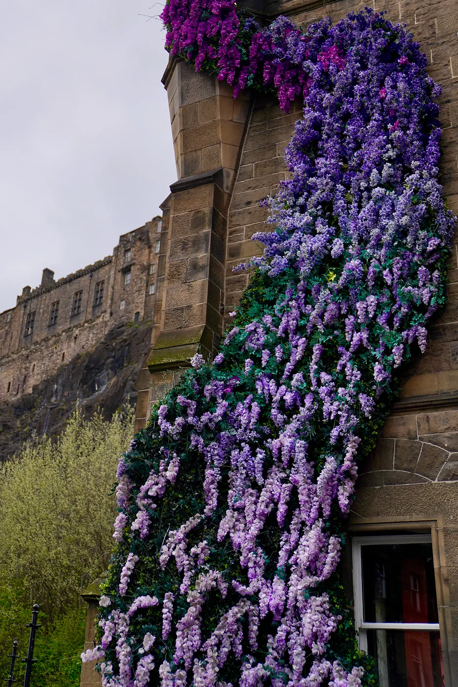 Colorful flowers crawling up the side of a building.