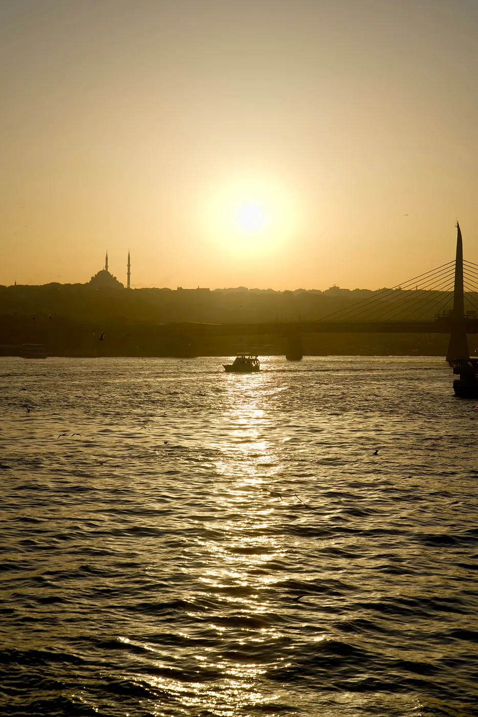 A lone boat sailing through the sun-soaked waters of the Golden Horn.