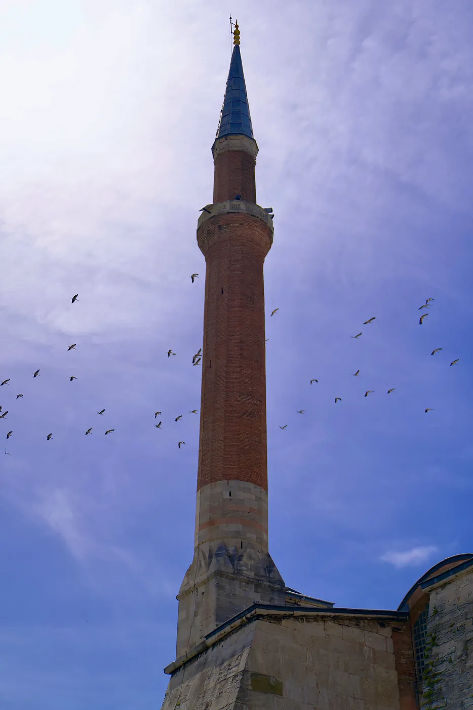 A flock of seagulls amidst a minaret.