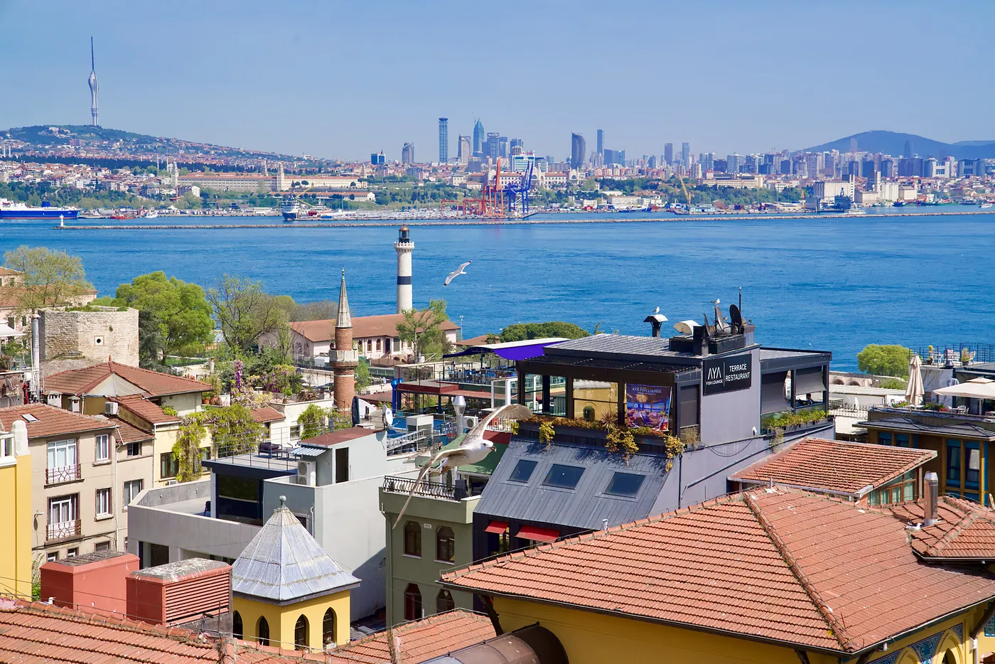 A vista of the Bosphorus & the Asian side of the city.