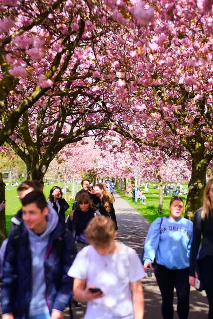 Bruntsfield, Edinburgh
